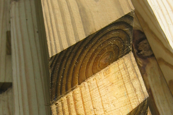 The Differences Between Treated and Untreated Wood